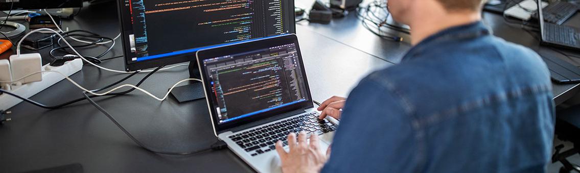 computer systems manager working on a computer